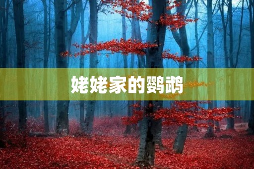 姥姥家的鹦鹉 姥姥家的鹦鹉