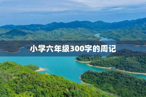 小学六年级300字的周记 小学六年级300字的周记