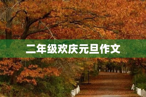 二年级欢庆元旦作文