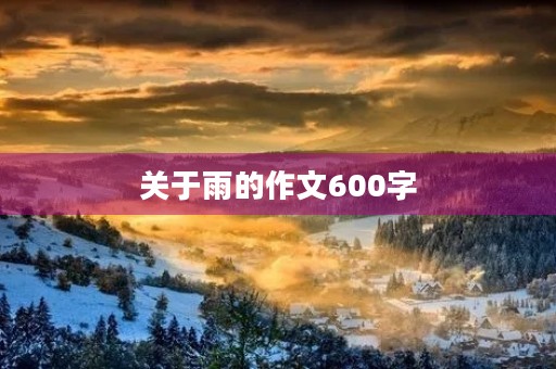 关于雨的作文600字