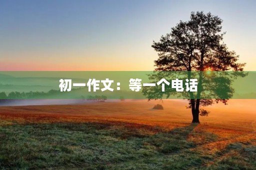 初一作文:等一个电话 初一作文:等一个电话