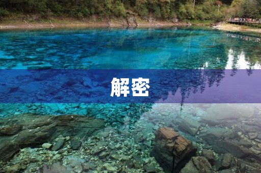 解密 解密