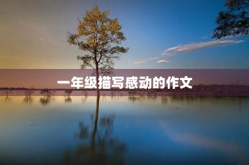 一年级描写感动的作文 一年级描写感动的作文