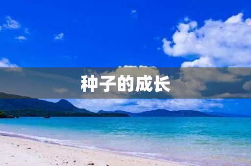 种子的成长 种子的成长