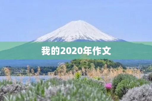 我的2020年作文 我的2020年作文