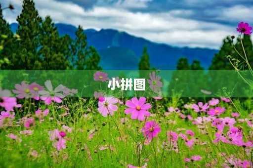 小拼图 小拼图