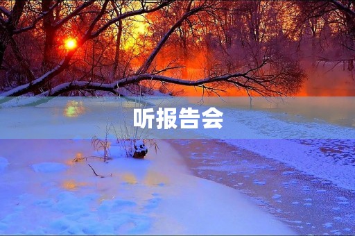 听报告会