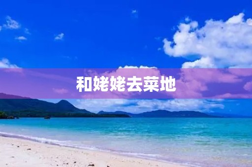 和姥姥去菜地 和姥姥去菜地