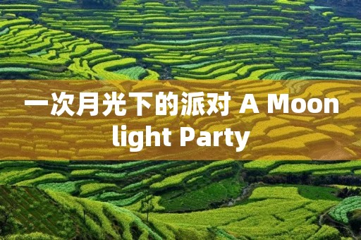 一次月光下的派对 A Moonlight Party