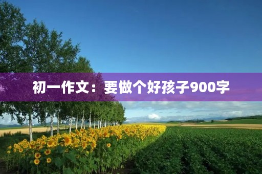 初一作文:要做个好孩子900字 初一作文:要做个好孩子900字
