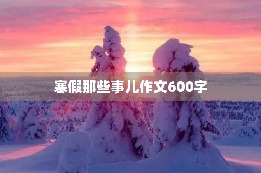 寒假那些事儿作文600字 寒假那些事儿作文600字