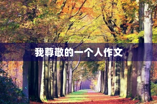 我尊敬的一个人作文 我尊敬的一个人作文