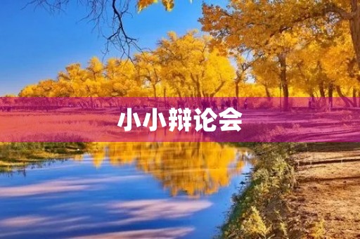 小小辩论会