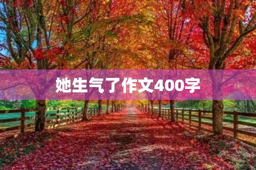 她生气了作文400字