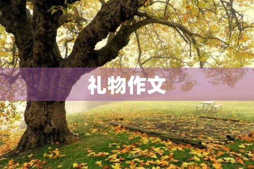 礼物作文