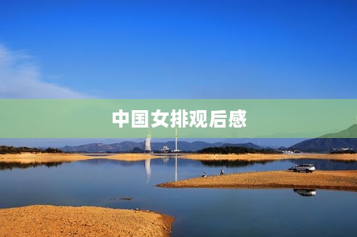 中国女排观后感 中国女排观后感