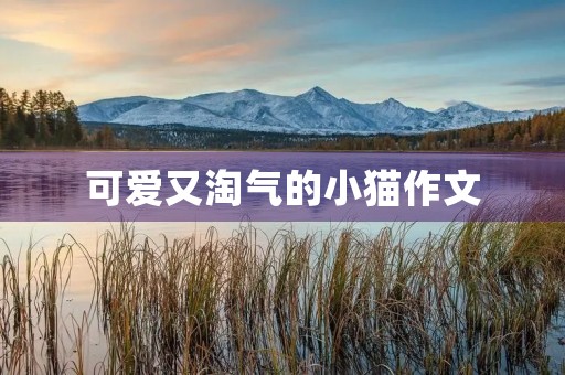 可爱又淘气的小猫作文