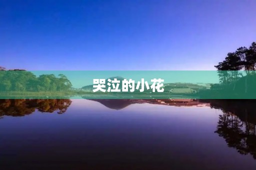 哭泣的小花 哭泣的小花