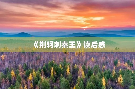 《荆轲刺秦王》读后感 《荆轲刺秦王》读后感