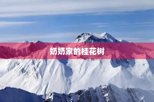 奶奶家的桂花树 奶奶家的桂花树