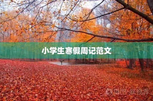 小学生寒假周记范文 小学生寒假周记范文