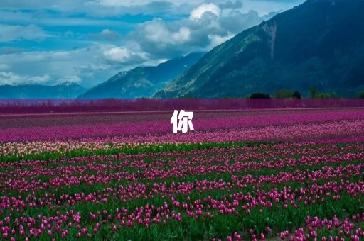 你