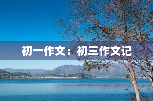 初一作文：初三作文记