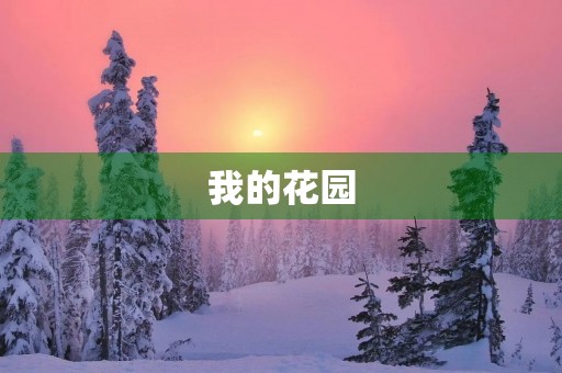 我的花园