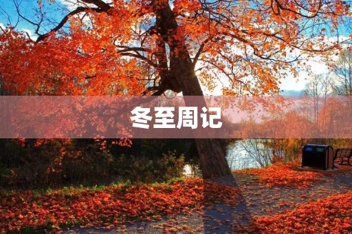 冬至周记