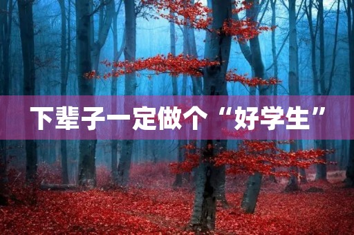 下辈子一定做个“好学生”