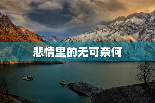 悲情里的无可奈何