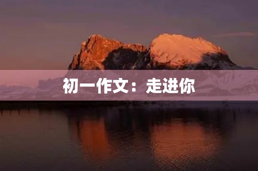 初一作文:走进你 初一作文:走进你