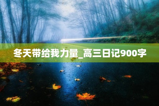 冬天带给我力量_高三日记900字