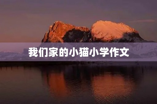我们家的小猫小学作文