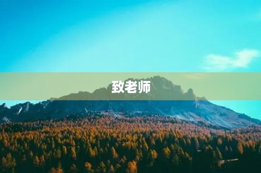 致老师 致老师