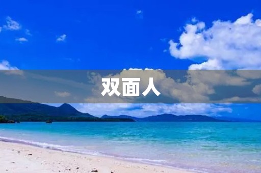 双面人