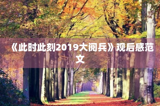 《此时此刻2019大阅兵》观后感范文
