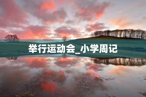 举行运动会_小学周记