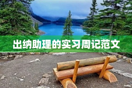 出纳助理的实习周记范文