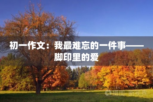 初一作文：我最难忘的一件事——脚印里的爱