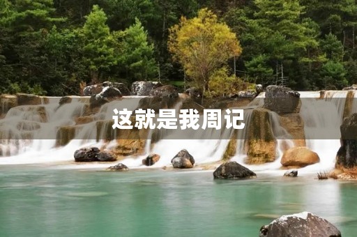 这就是我周记