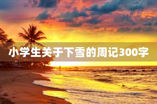 小学生关于下雪的周记300字 小学生关于下雪的周记300字