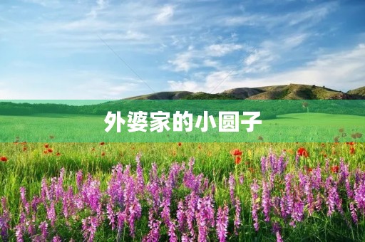 外婆家的小圆子