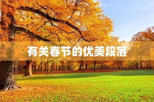 有关春节的优美段落 有关春节的优美段落
