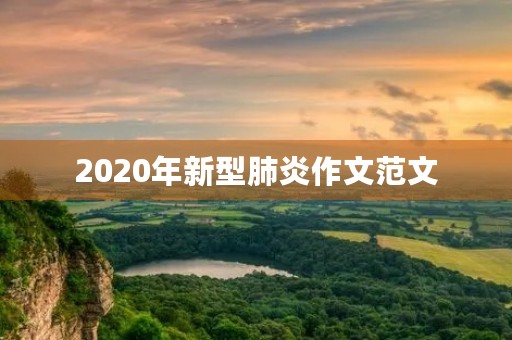 2020年新型肺炎作文范文