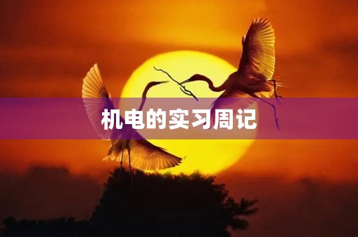 机电的实习周记
