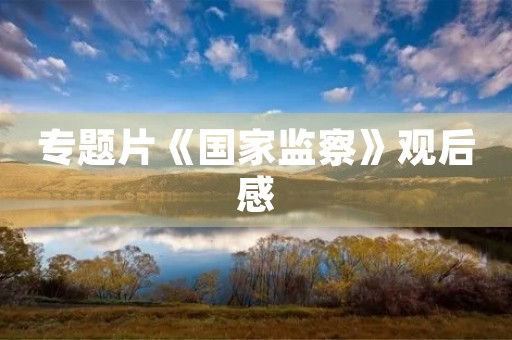 专题片《国家监察》观后感 专题片《国家监察》观后感