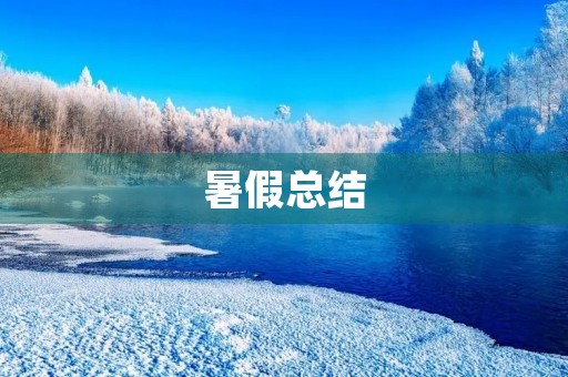 暑假总结 暑假总结