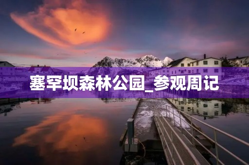 塞罕坝森林公园_参观周记