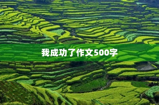 我成功了作文500字 我成功了作文500字